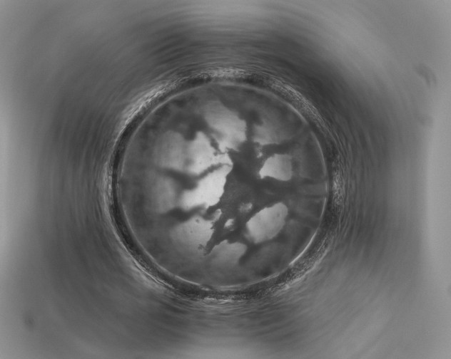 X0000113600725200909181351