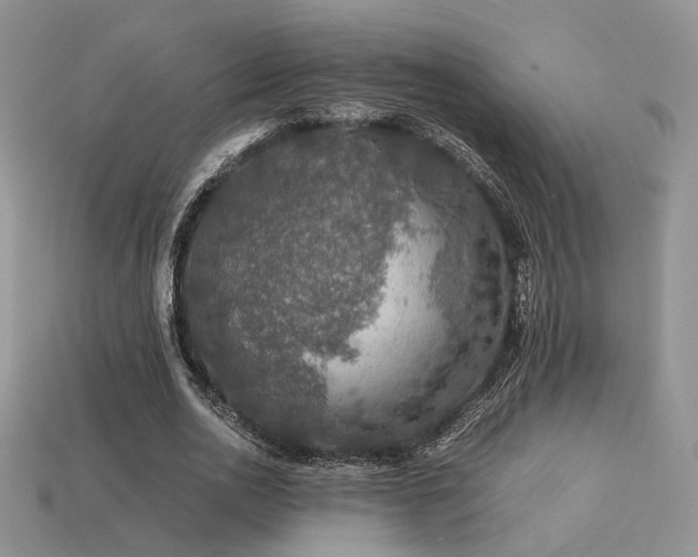 X0000113600726200909181351