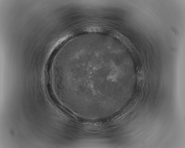 X0000113600727200909181351