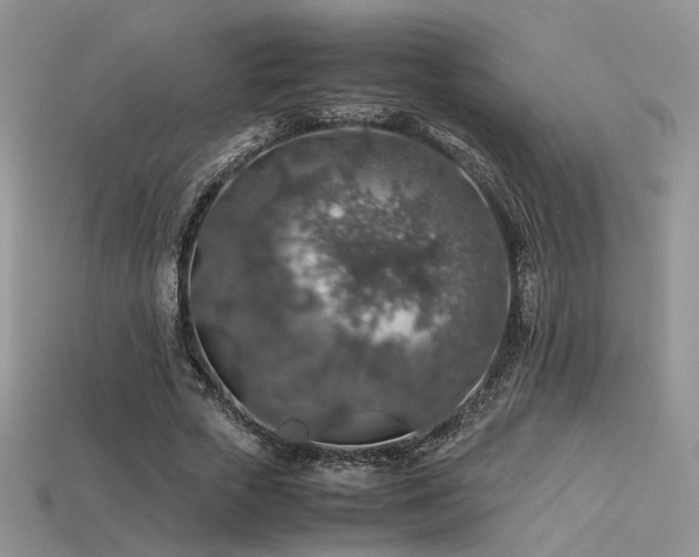 X0000113600729200909181351