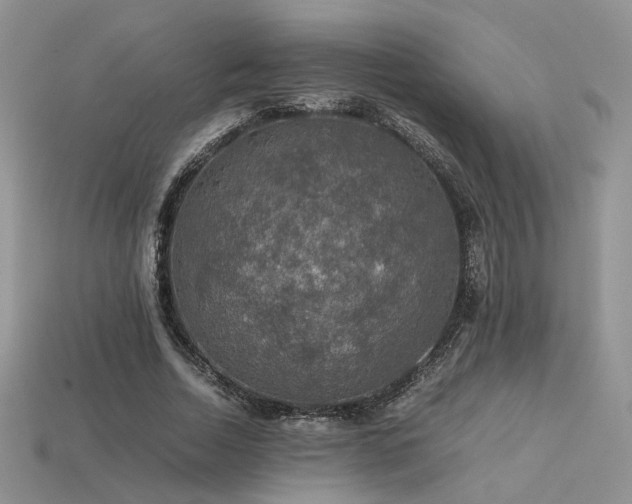 X0000113600730200909181351