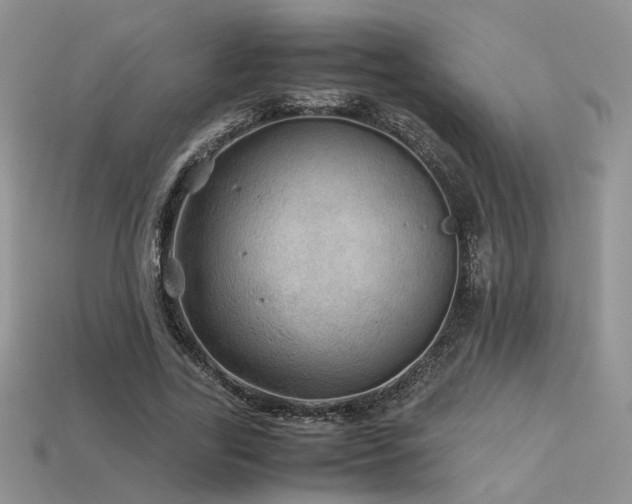 X0000113600731200909181351