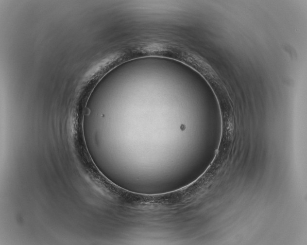 X0000113600732200909181351