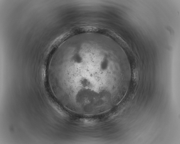 X0000113600733200909181351