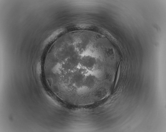 X0000113600734200909181351