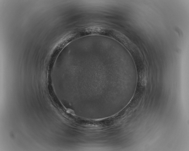 X0000113600735200909181351