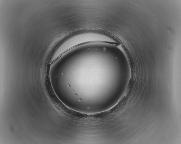 X0000113600736200909181351