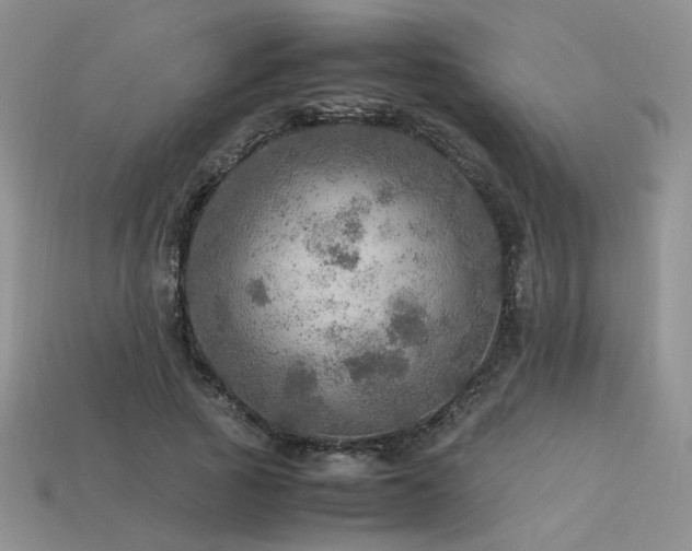 X0000113600737200909181351