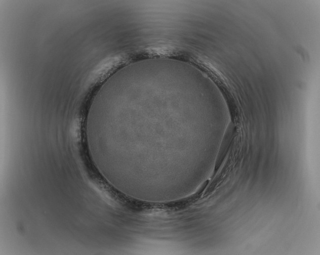 X0000113600738200909181351