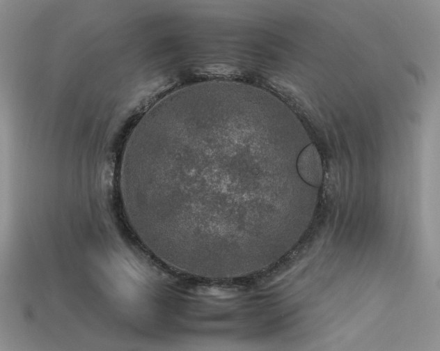 X0000113600739200909181351