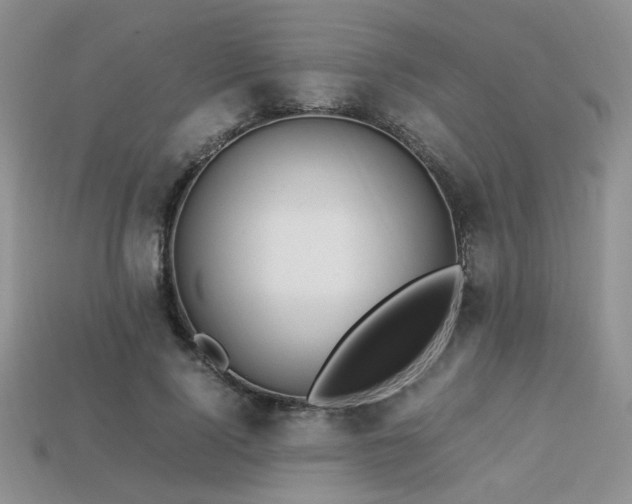 X0000113600740200909181351