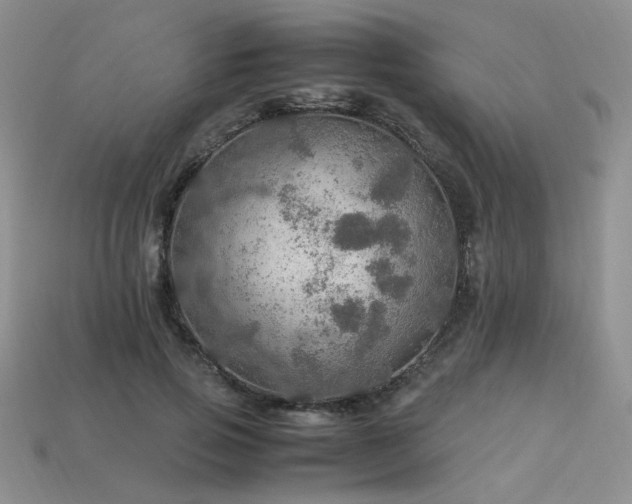 X0000113600741200909181351