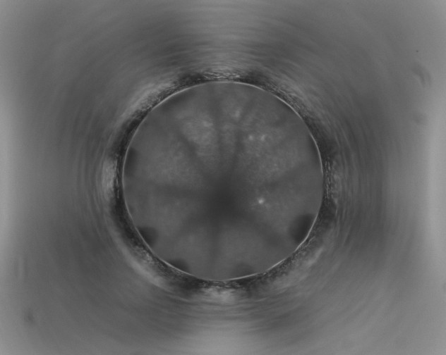 X0000113600742200909181351