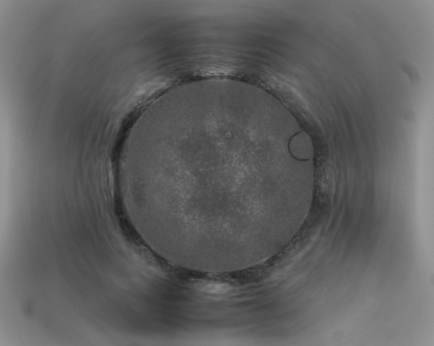 X0000113600743200909181351