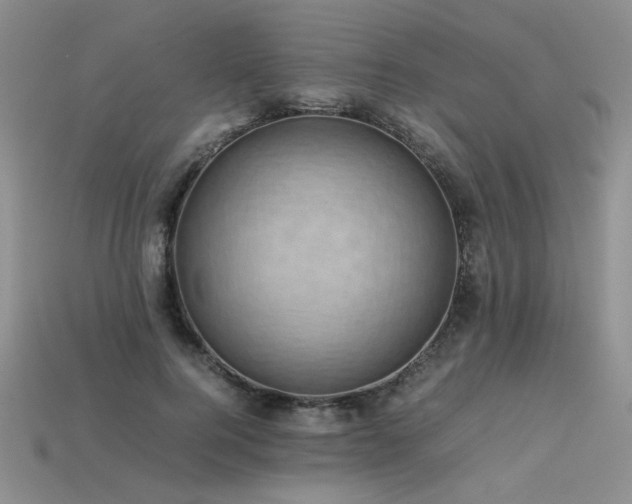 X0000113600744200909181351