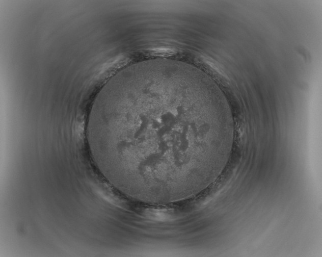 X0000113600745200909181351