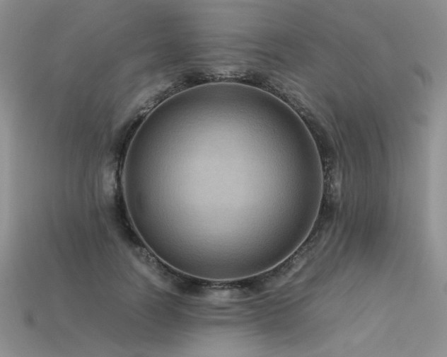 X0000113600746200909181351