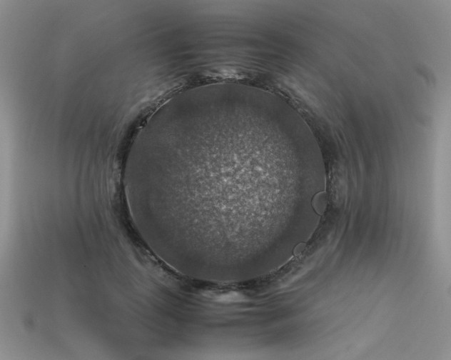 X0000113600747200909181351