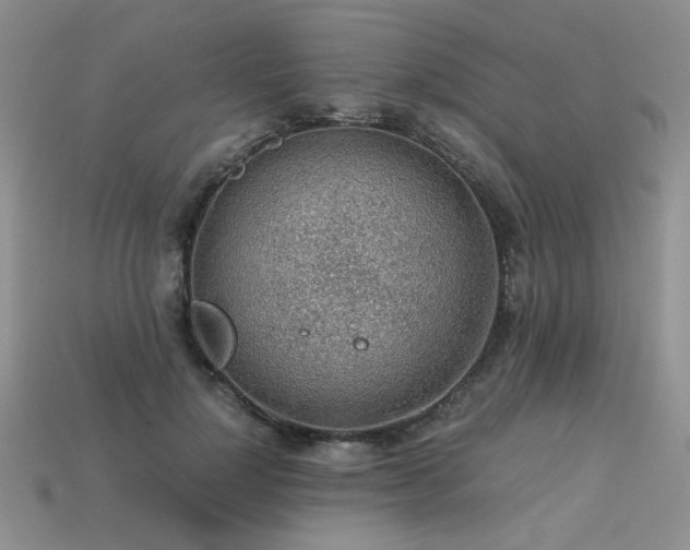 X0000113600748200909181351