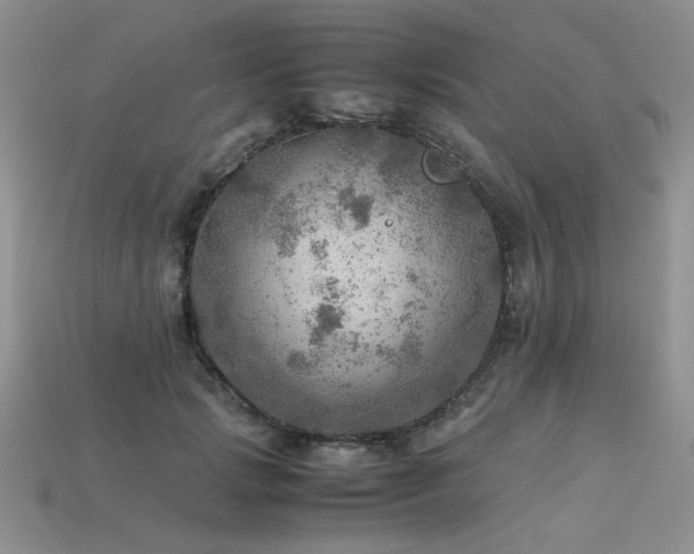 X0000113600749200909181351