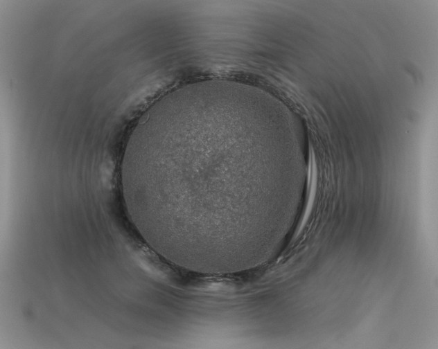 X0000113600750200909181351