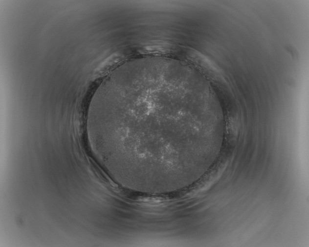 X0000113600751200909181351