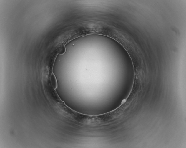 X0000113600752200909181351