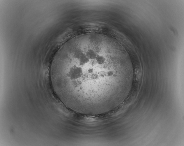 X0000113600753200909181351