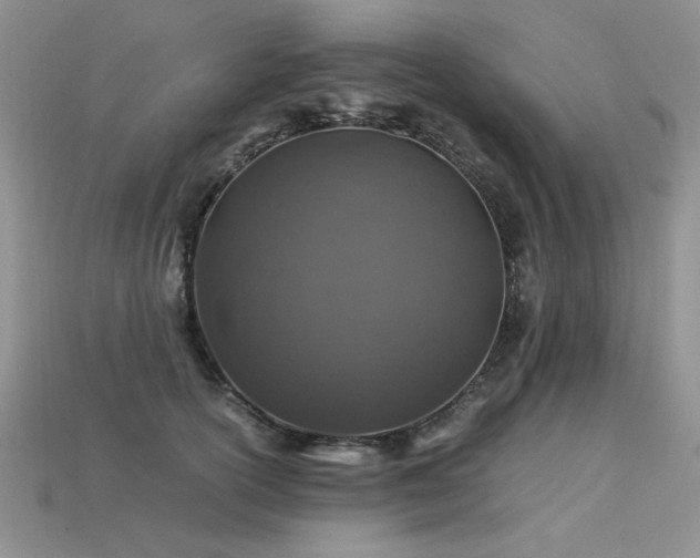 X0000113600754200909181351