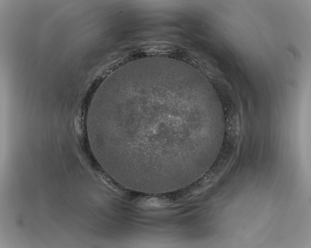 X0000113600755200909181351