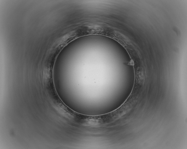 X0000113600756200909181351