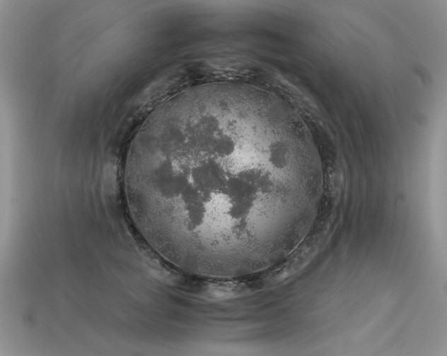 X0000113600757200909181351