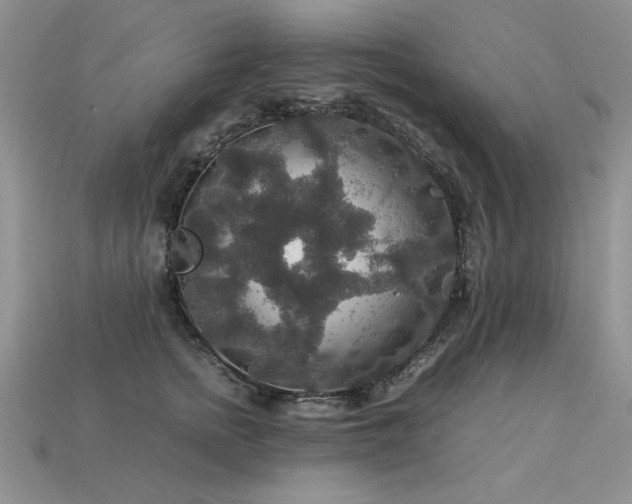 X0000113600758200909181351