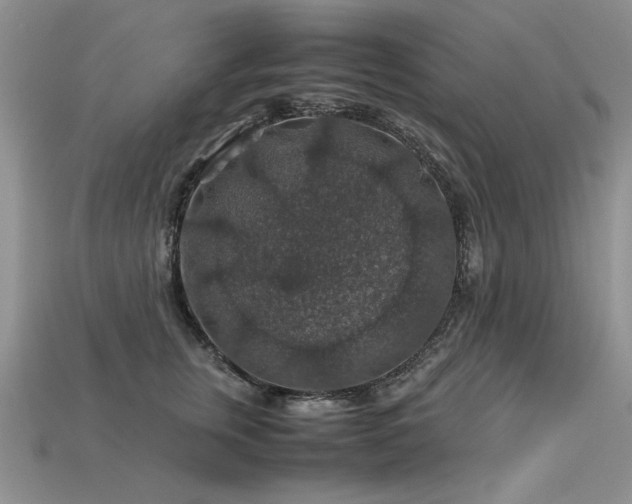 X0000113600759200909181351