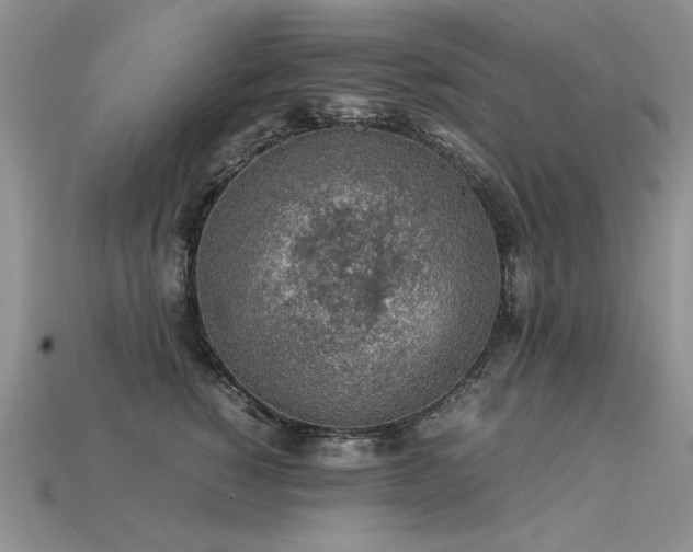 X0000113600760200909181351