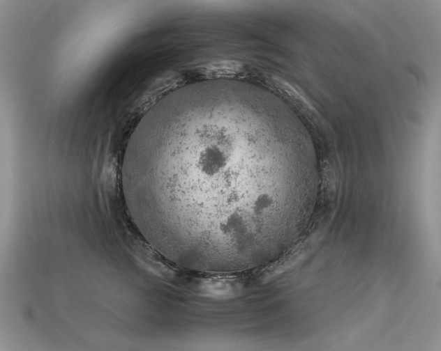 X0000113600761200909181351