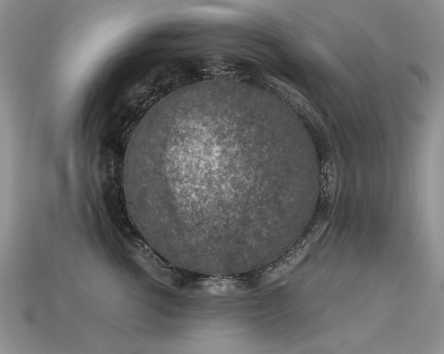 X0000113600762200909181351