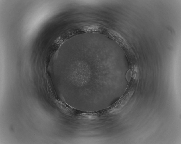 X0000113600763200909181351