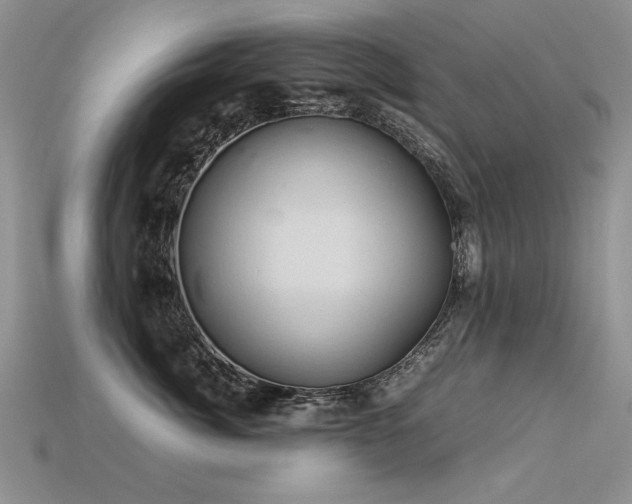 X0000113600764200909181352