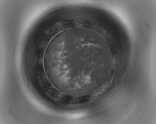 X0000113600765200909181352