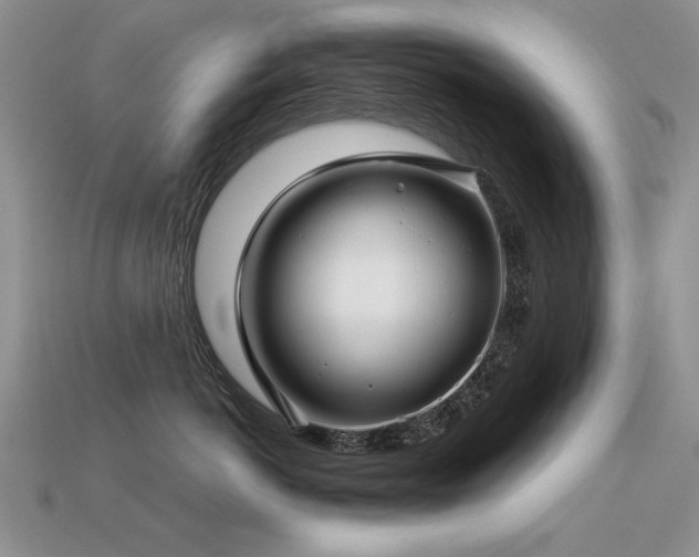 X0000113600766200909181352