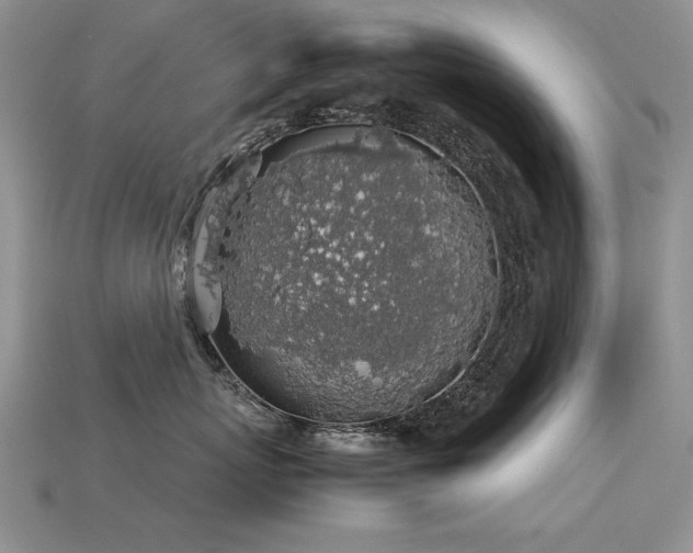 X0000113600767200909181352