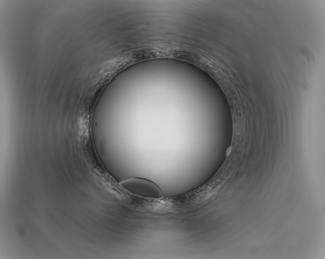 X0000113600768200909181352