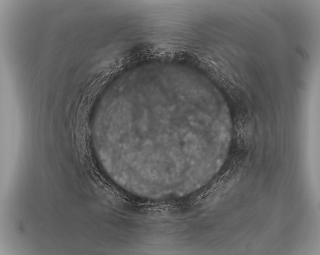 X0000113600769200909181351