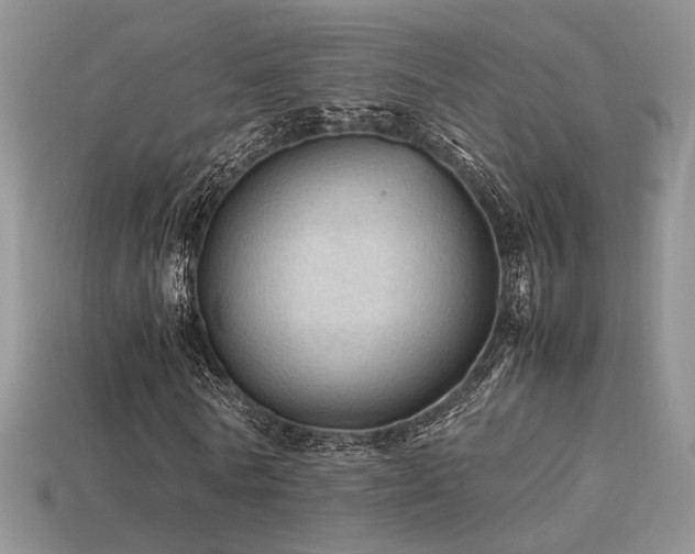 X0000113600770200909181351