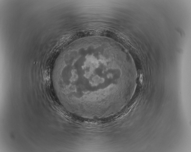 X0000113600771200909181351