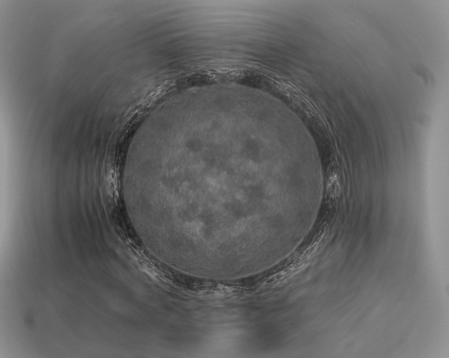 X0000113600772200909181351