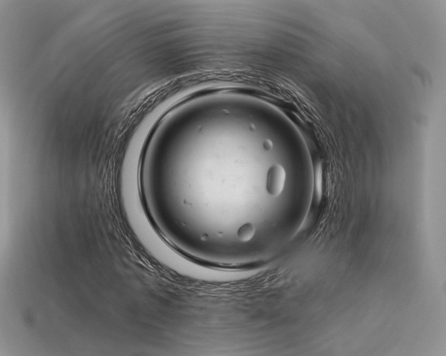 X0000113600773200909181351