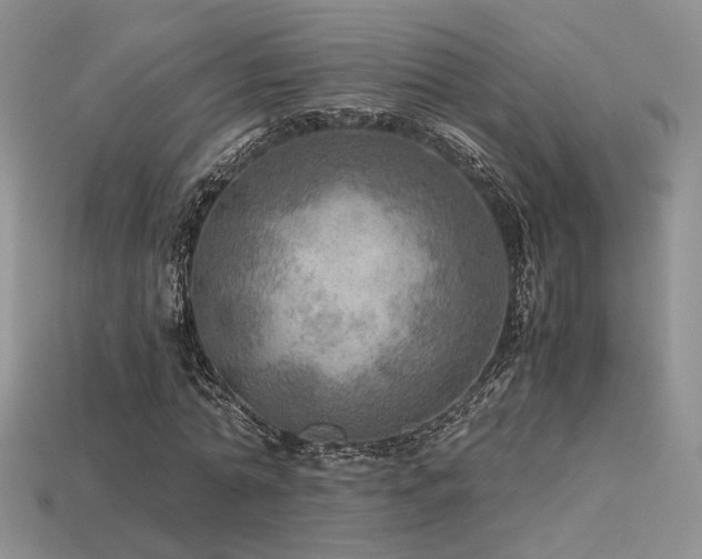 X0000113600774200909181351