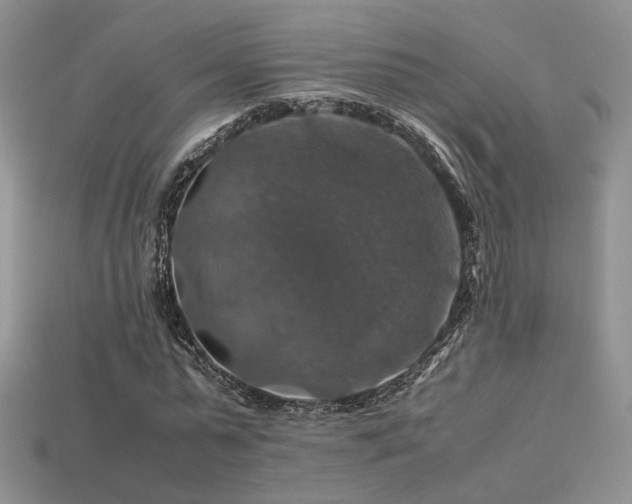 X0000113600775200909181351